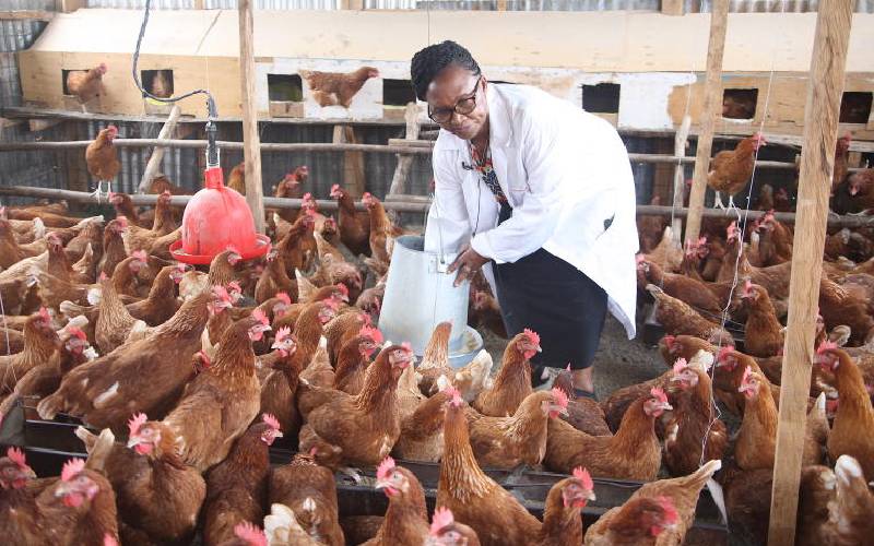 High cost of feeds drives farmers out of dairy and poultry business