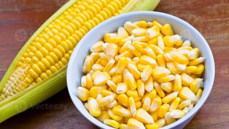 North-West Cameroonian farmers receive tons of maize seeds