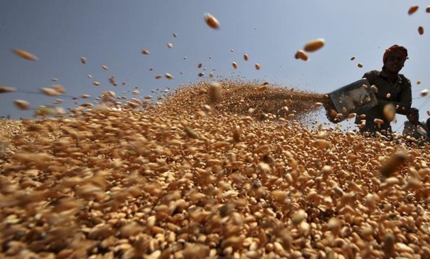 Agriculture ministry: 5.6M tons of wheat being stored at new silos