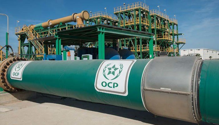 Morocco's OCP to Acquire 50% Stake of GlobalFeed