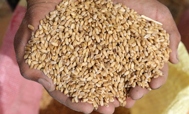 Egypt calls for developing flexible mechanism for exchange of wheat, fertilizers between African countries