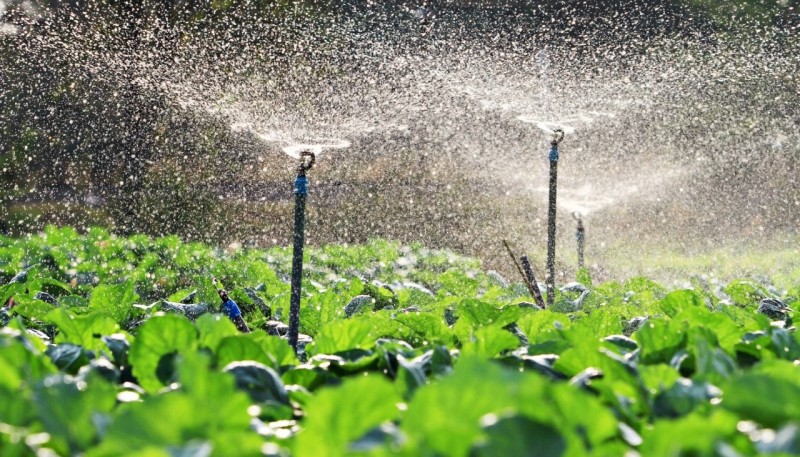 Morocco Increases Irrigation Budget to $14 Billion in 2022
