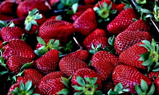 Egypt's frozen strawberry exports up 30% during 1st 10 months of 2022: FEC