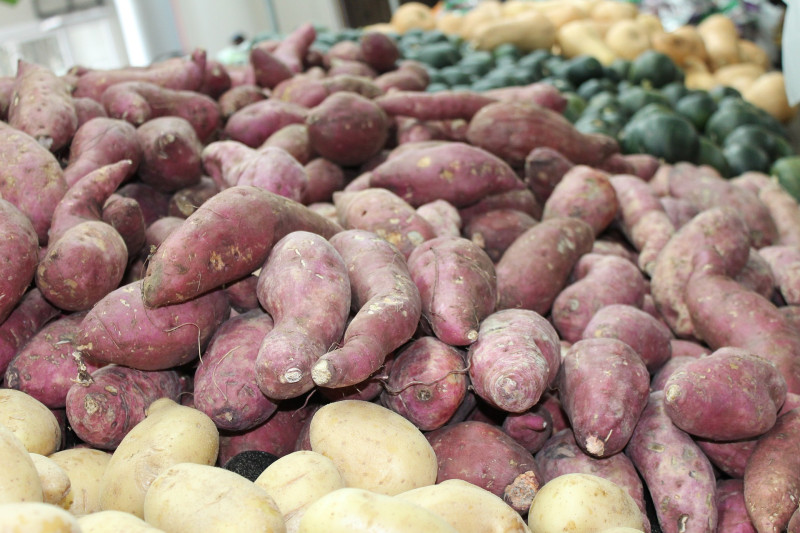 Morocco's Sweet Potato Exports Increasing by 67% Per Year