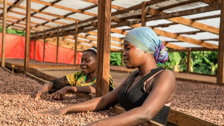 Producers Grant Subsidy Worth FCFA 1 billion for Cocoa – Coffee sector