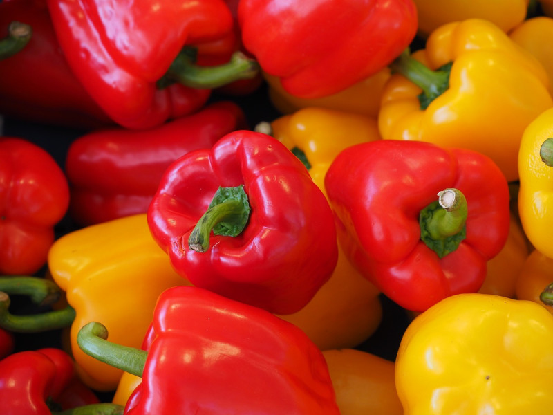 Morocco Became World's 6th Largest Bell Pepper Exporter in 2022