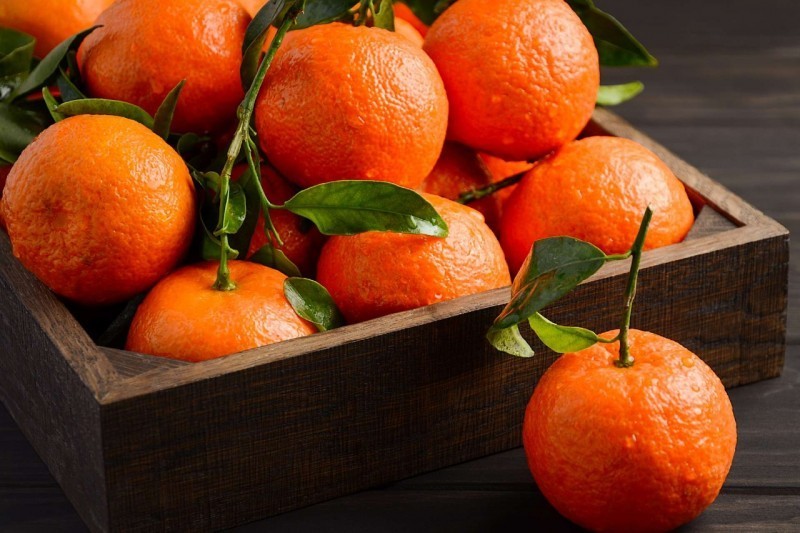 Morocco's Mandarins Exports Reach 73,000 Tonnes in 2022-2023 Season