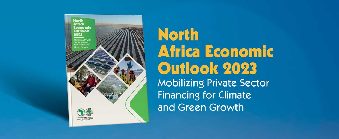 North Africa's economies to expand by 4.6% in 2023, green growth a priority — AfDB