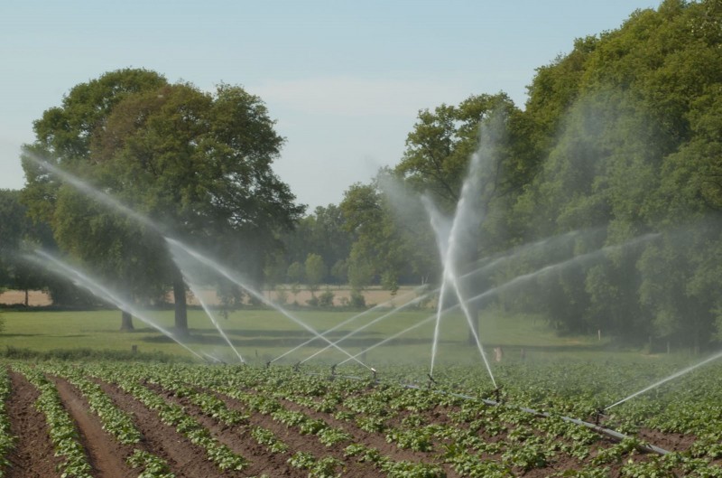 Morocco Launches $11.8 Million Irrigation Project in Boujdour
