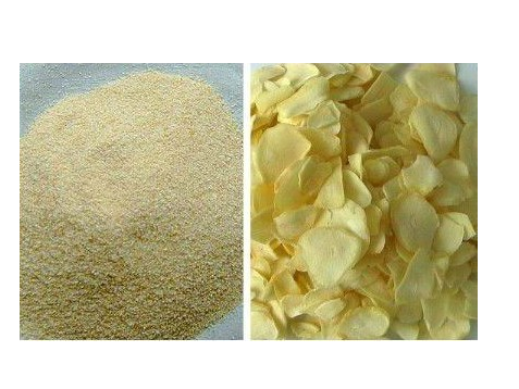 Galic Powder / Galic Extract