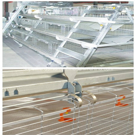 Broiler and Layer Chicken Cages for Poultry Farm (A Type)