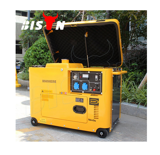 Bison (China) BS6500dsec 5kw 5kVA 5000W Copper Wire Power Supply Silent Diesel Generator Portable for Best Sale