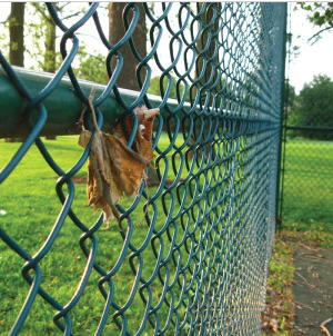 Chain Link Fence/Chain Link Fencing - PVC Coated or Galvanized with ISO Approved
