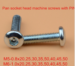  Pin Screw Safety Screw