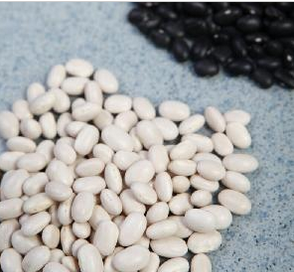 2015 New Crop Chinese Dry Beans