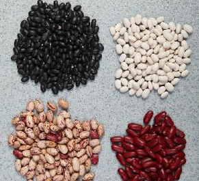 2015 New Crop Chinese Kidney Beans