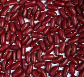 New Crop Dark Red Kidney Beans