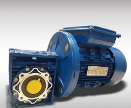 Nmrv Series Speed Transmission Gear Reducer with Electric Motor