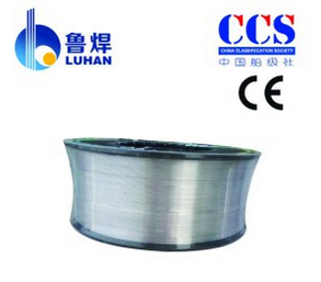 Stainless Steel Welding Wire (Model: E316L)