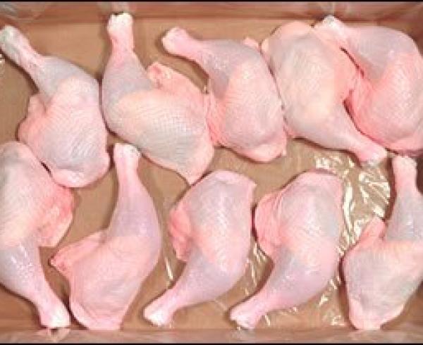 Halal Grade A Frozen Chicken Feet, Paws, Breast, Whole Chicken, Legs and Wings 