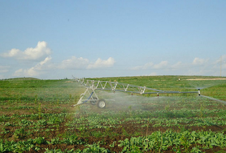 Hose Reel Irrigation System