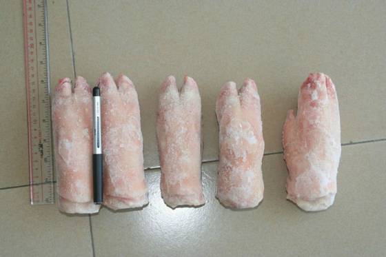 Frozen pork front feet For sale