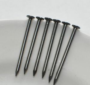 Polished Common Wire Nail in Length 80mm for Construction