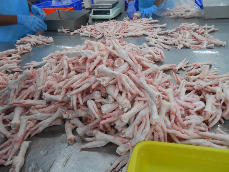 Brazil Frozen Chicken Feet/Paws Exporters