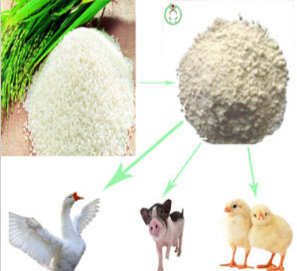 Feed Grade Rice Protein Meal Animal Feed Rice Protein Powder
