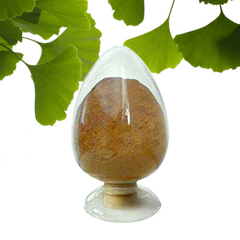 herbal raw material organic chinese herbs supplementary food ginkgo biloba powder