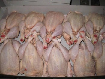 frozen whole chicken ,frozen chicken feet , chicken paws , whole chicken
