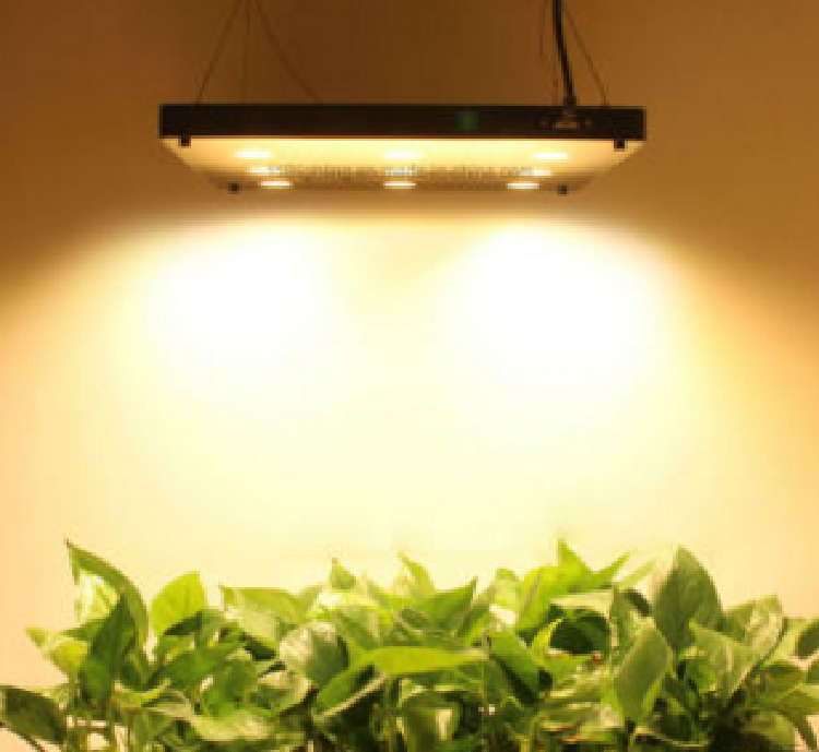 High Power 1000W Full Spectrum LED Grow Light for Plants