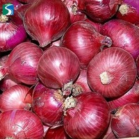  Fresh Red  Organic Onion