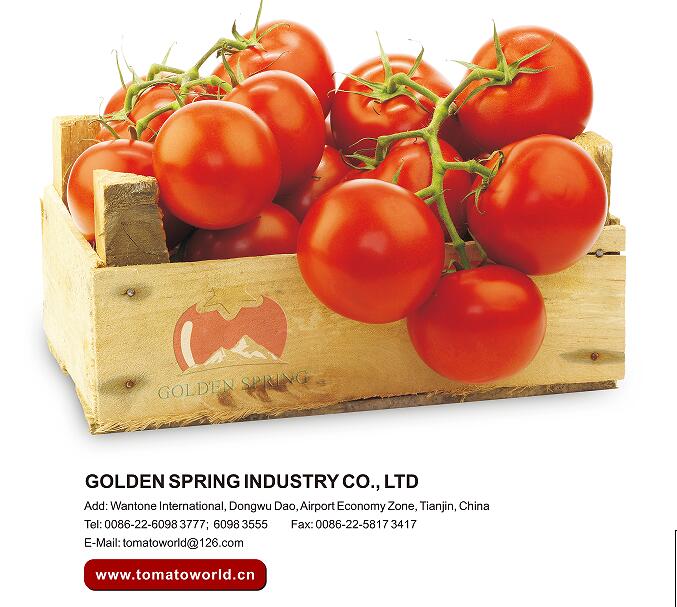 tomato ketchup - buying leads