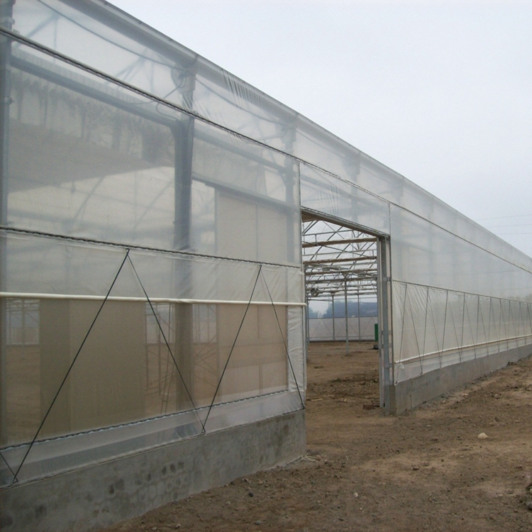 Greenhouse with plastic film cover - buying leads