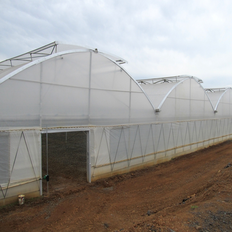 Poly film china greenhous for tomato- buying leads