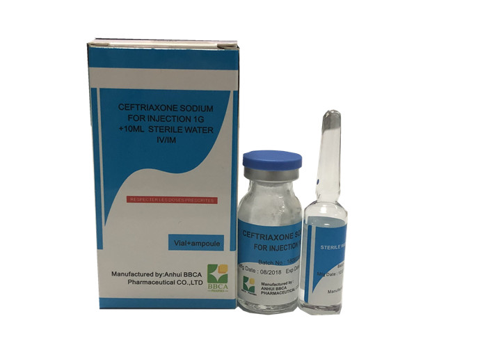 Surgery Ceftriaxone Sodium Injection Powder 1G / 0.5G GMP Certification- buying leads